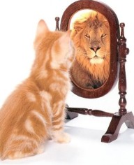 Is Your Image a Reflection of You?